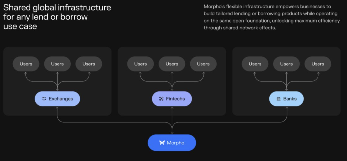 Morpho Infrastructure Diagram