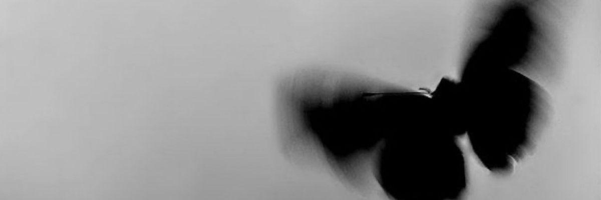 Morpho visual cover for The AWS of Institutional Credit